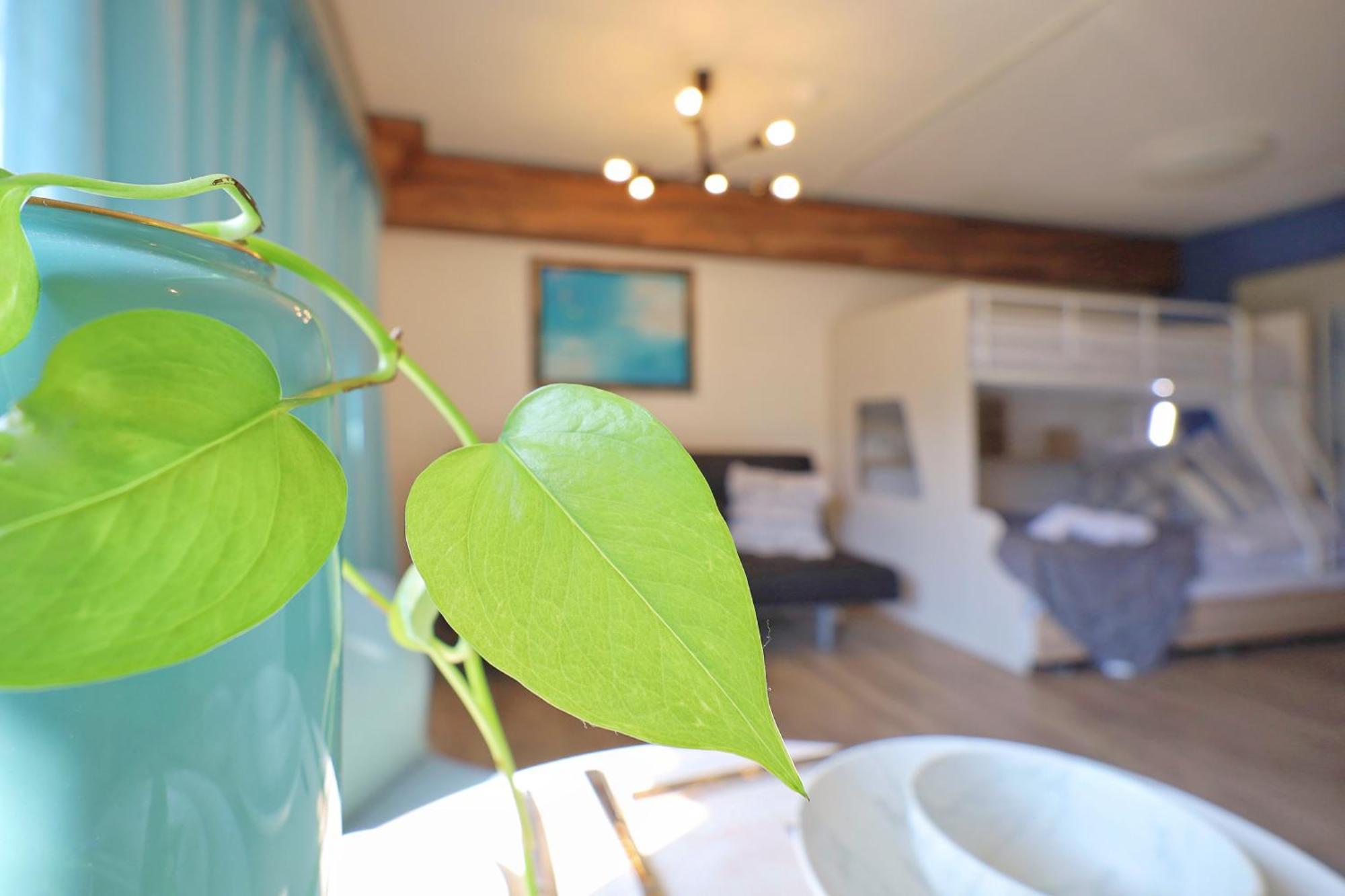 スターハイツ蒲田 Apartamento Tokio